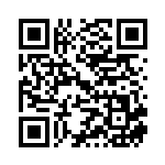 [S9]HR リザードンVSTAR（スターバース 118/100  ）[S9118] QRコード