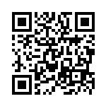 [S9]HR エルフーンVSTAR（スターバース 119/100  ）[S9119] QRコード