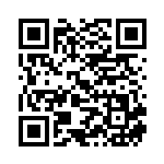 [S9]HR キャンプファイヤー（スターバース 121/100  ）[S9121] QRコード