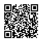 [S9a]RRR ヒスイダイケンキVSTAR（バトルリージョン 053/067  ）[S9a053] QRコード