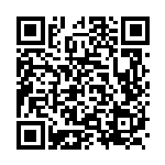 [S9a]HR ヒスイダイケンキVSTAR（バトルリージョン 087/067  ）[S9a087] QRコード