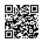 [S9a]UR ヒスイダイケンキVSTAR（バトルリージョン 091/067  ）[S9a091] QRコード