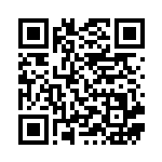 [S9a]UR こだわりベルト（バトルリージョン 092/067  ）[S9a092] QRコード