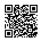 [SA]クイックボール（スターターセットV 013/023 トレーナーズ グッズ ）[SAa013] QRコード