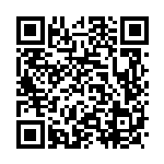 [SA]クイックボール（スターターセットV 013/023 トレーナーズ グッズ ）[SAa013] QRコード