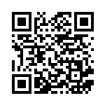 [SA]大きなおまもり（スターターセットV 018/023 トレーナーズ グッズ ）[SAa018] QRコード