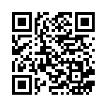 [SA]マリィ（スターターセットV 023/023 トレーナーズ サポート ）[SAa023] QRコード