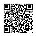 [SA]ポケモンごっこ（スターターセットV 022/023 トレーナーズ サポート ）[SAd022] QRコード