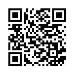 [SA]クイックボール（スターターセットV 013/023 トレーナーズ グッズ ）[SAe013] QRコード