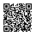 [SA]ポケモンごっこ（スターターセットV 021/023 トレーナーズ サポート ）[SAe021] QRコード