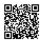 [SA]マリィ（スターターセットV 024/023 トレーナーズ サポート ）[SAe024] QRコード