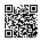 [SB]溶接工（プレミアムトレーナーボックス ソード&シールド 021/024 トレーナーズ サポート ）[SB021] QRコード