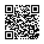 [SC2]クイックボール（スターターセットVMAX 009/021 トレーナーズ グッズ ）[SC2009] QRコード