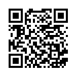 [SCF]クイックボール（スターターセットVMAX 012/021 トレーナーズ グッズ ）[SCF012] QRコード