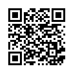 [SCK]クイックボール（スターターセットVMAX 011/021 トレーナーズ グッズ ）[SCK011] QRコード