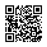 [SCK]マリィ（スターターセットVMAX 019/021 トレーナーズ サポート ）[SCK019] QRコード