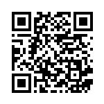 [SCK]ルリナ（スターターセットVMAX 020/021 トレーナーズ サポート ）[SCK020] QRコード