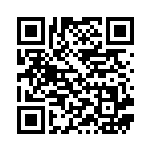 [SC]クイックボール（スターターセットVMAX 009/021 トレーナーズ グッズ ）[SCo009] QRコード