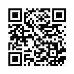 [SC]クイックボール（スターターセットVMAX 009/021 トレーナーズ グッズ ）[SCr009] QRコード