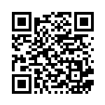 [SC]ポケモンごっこ（スターターセットVMAX 019/021 トレーナーズ サポート ）[SCr019] QRコード