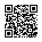 [SC]ヤロー（スターターセットVMAX 021/021 トレーナーズ サポート ）[SCr021] QRコード