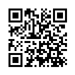 [SF]ターボパッチ（プレミアムトレーナーボックス 010/053 トレーナーズ グッズ ）[SF010] QRコード