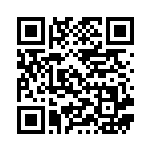 [SGI]インテレオンVMAX（ハイクラスデッキ 006/053 水 ）[SGI006] QRコード