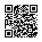 [SGI]ポケモンいれかえ（ハイクラスデッキ 015/053 トレーナーズ グッズ ）[SGI015] QRコード