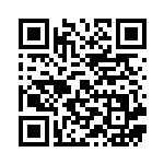 [SH]基本炎エネルギー（ポケモンカードゲーム 02e/053  ）[SH002e] QRコード