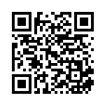 [SI]エースバーンV（スタートデッキ100 073/414  ）[SI073] QRコード