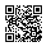 [SK]レベルボール（プレミアムトレーナーボックス 019/053  ）[SK019] QRコード