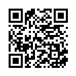 [SK]パワフル無色エネルギー（プレミアムトレーナーボックス 029/053  ）[SK029] QRコード