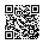 [SK]ヒート炎エネルギー（プレミアムトレーナーボックス 030/053  ）[SK030] QRコード