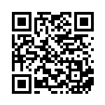 [SM-P]ポンチョを着たピカチュウ（プロモ 038/408 雷 ）[SM-P038] QRコード