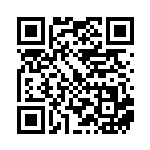 [SM-P]ライチ（プロモ 053/408 トレーナーズ サポート ）[SM-P053] QRコード