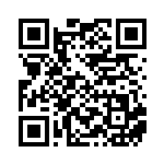 [SM-P]ハイパーボール（プロモ 091/408 トレーナーズ グッズ ）[SM-P091] QRコード