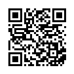 [SM-P]ゾロア（プロモ 105/408 悪 ）[SM-P105] QRコード