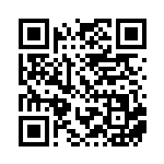 [SM-P]ポンチョを着たイーブイ（プロモ 140/408 無色 ）[SM-P140] QRコード