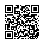 [SM-P]エネルギースピナー（プロモ 258/408 トレーナーズ グッズ ）[SM-P258] QRコード