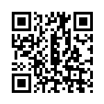 [SM-P]こだわりメット（プロモ 332/408 トレーナーズ グッズ ）[SM-P332] QRコード