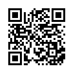 [SM-P]ジャッジマン（プロモ 334/408 サポート グッズ ）[SM-P334] QRコード