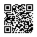 [SM-P]シロナ（プロモ 335/408 トレーナーズ サポート ）[SM-P335] QRコード