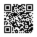 [SM-P]ビクティニ（プロモ 340/408 炎 ）[SM-P340] QRコード