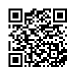 [SM-P]リーリエ（プロモ 397/408 トレーナーズ サポート ）[SM-P397] QRコード