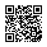 [SM-P]イーブイ（プロモ 399/408 無 ）[SM-P399] QRコード