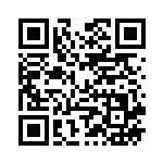 [SM10]RR エルフーンGX（ダブルブレイズ 066/095 フェアリー ）[SM10066] QRコード