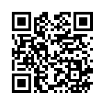 [SM10]RR ペルシアンGX（ダブルブレイズ 069/095 無 ）[SM10069] QRコード