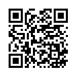 [SM10]R ポリゴンZ（ダブルブレイズ 075/095 無 ）[SM10075] QRコード