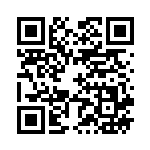 [SM10]U ハイパーボール（ダブルブレイズ 081/095 トレーナーズ グッズ ）[SM10081] QRコード