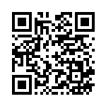 [SM10]U 炎の結晶（ダブルブレイズ 083/095 トレーナーズ グッズ ）[SM10083] QRコード